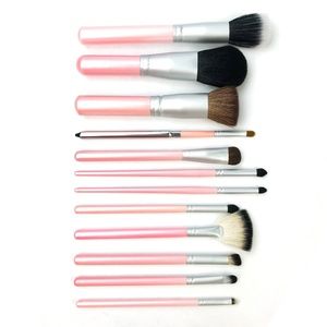Crown 12 Piece Vegan Brush Set with Pink Case